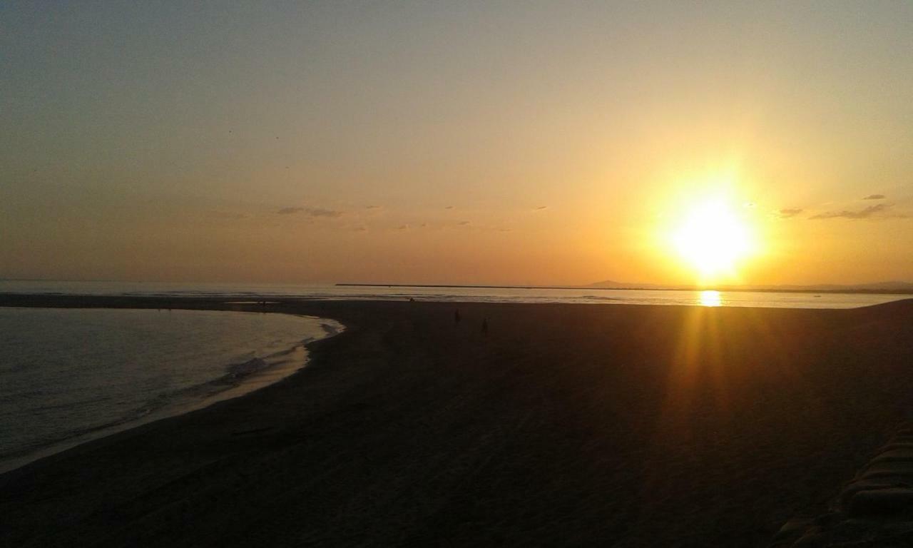 Rincon Canela * Ayamonte